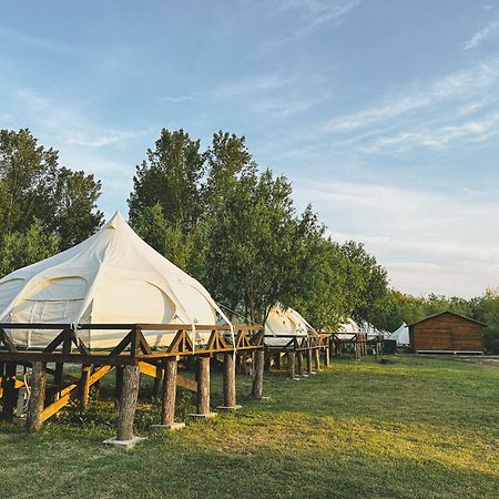 Zaga Zaga Sat Hotel Tecuci Bagian luar foto