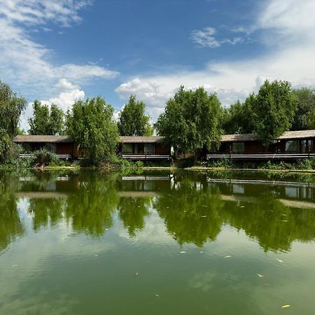 Zaga Zaga Sat Hotel Tecuci Bagian luar foto