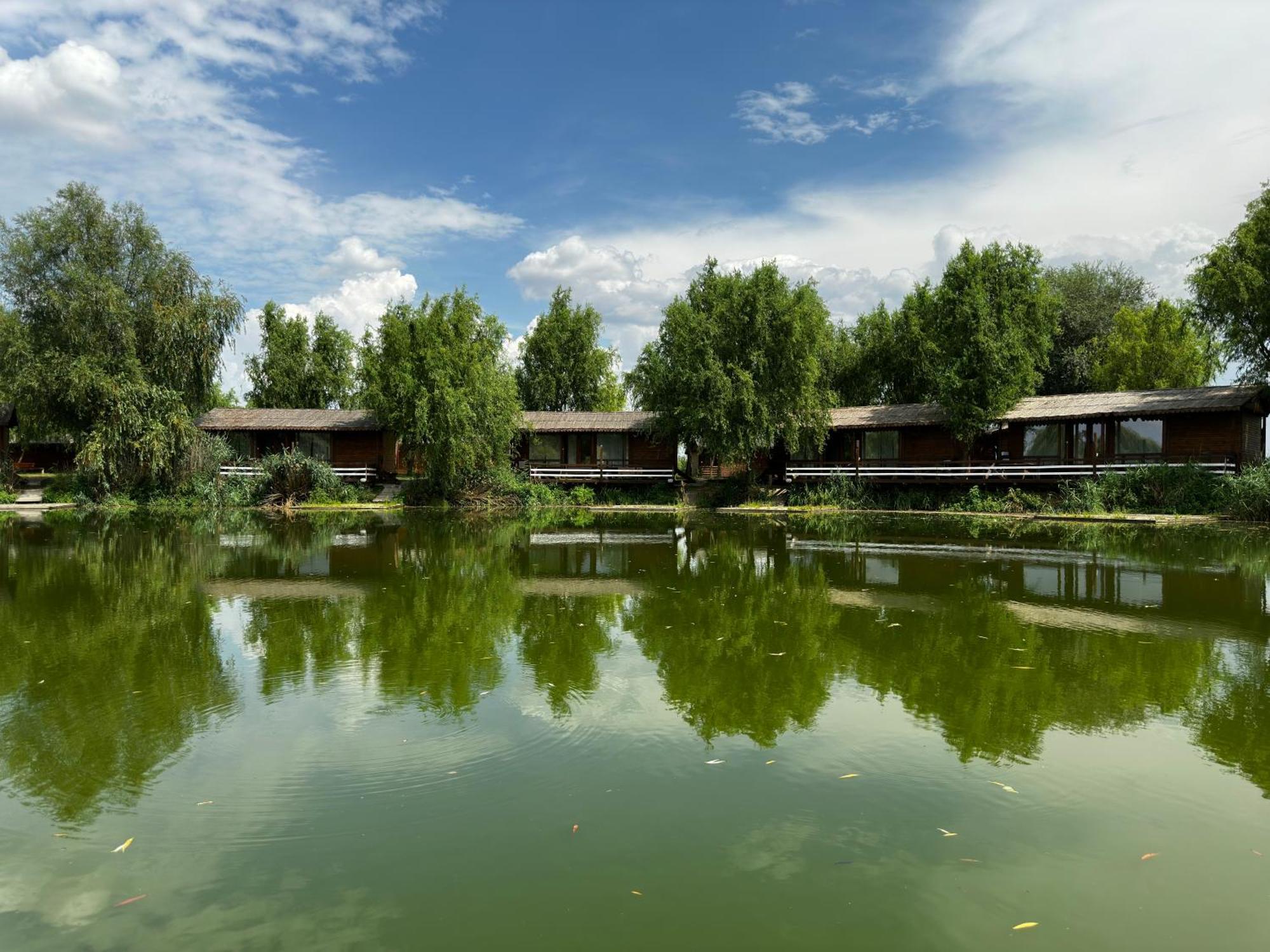 Zaga Zaga Sat Hotel Tecuci Bagian luar foto
